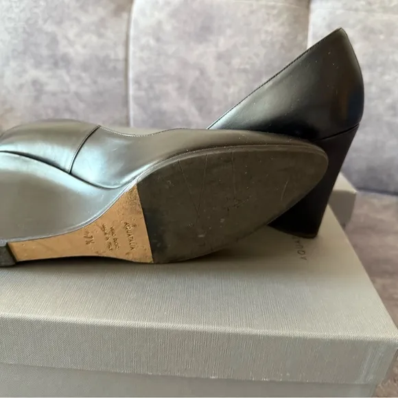 Aquatalia  Black Wedge Pumps with Pointed Toe