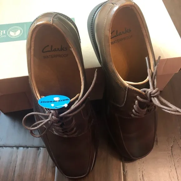 Clarks Men’s Daxan Walk Brown waterproof Shoes