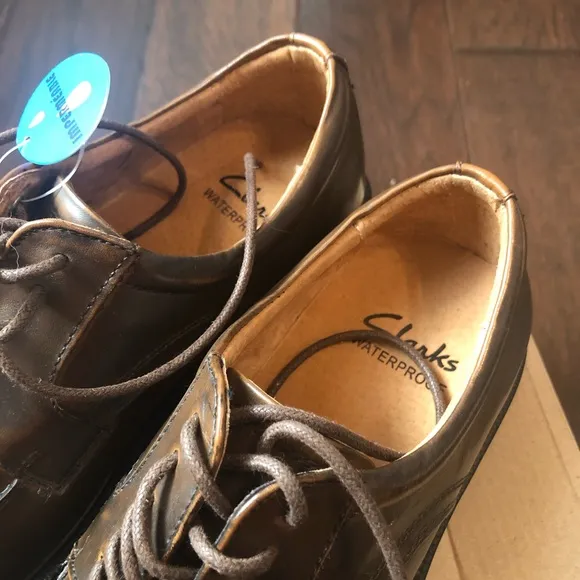 Clarks Men’s Daxan Walk Brown waterproof Shoes