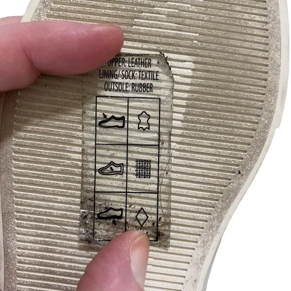 Everlane The Day Sneaker in Parchment leather low top lace up round toe cream 6