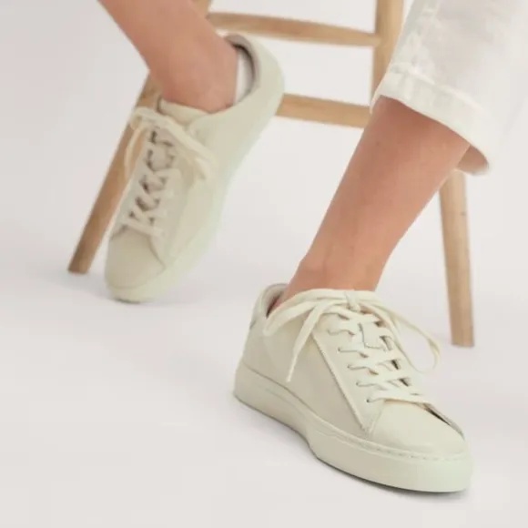 Everlane The Day Sneaker in Parchment leather low top lace up round toe cream 6