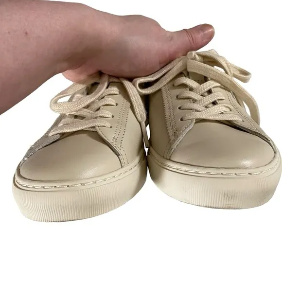 Everlane The Day Sneaker in Parchment leather low top lace up round toe cream 6