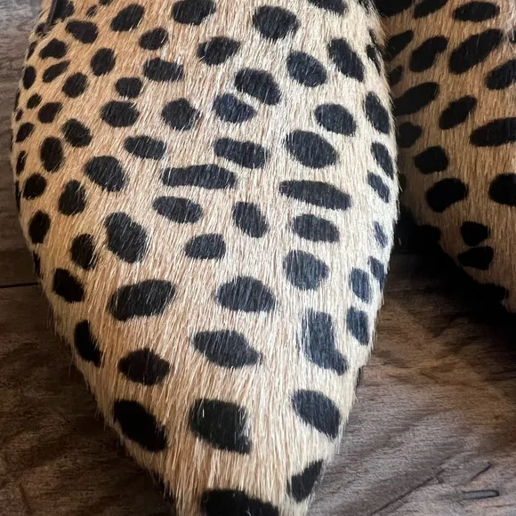 Jenni Kayne NEW never worn NWT Women's Leopard Print Mules SIZE 38 perfect cute