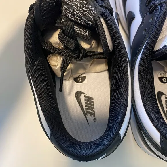 Men's Nike Low Dunks Size 12
