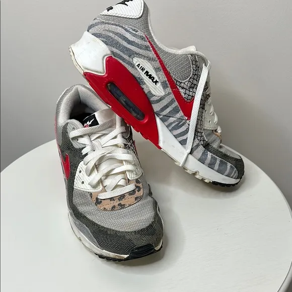 Nike Air Max men Red and Gray