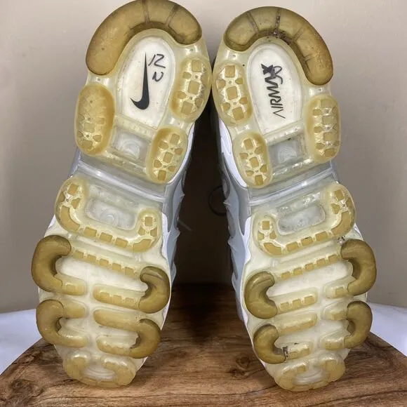 Nike Air VaporMax Plus Silver Gradient Mens Gray Size 12.5 Shoes