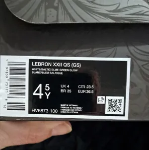 Nike LeBron XXII QS Shoes