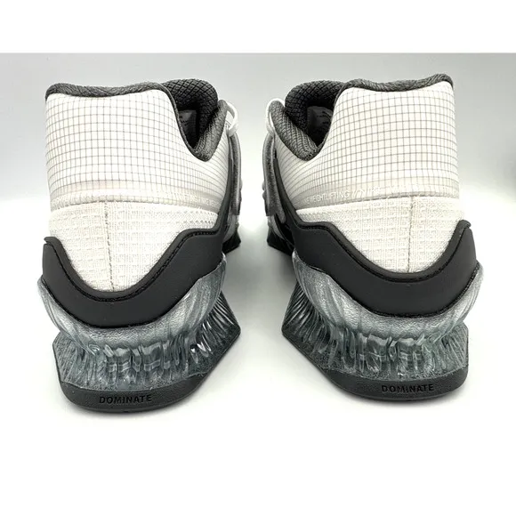 Nike Romaleos 4 SE Weightlifting Mens Wolf Gray Size 9 Gym Olympic