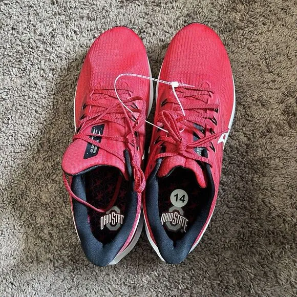 Ohio State Buckeyes Nike Air Zoom Pegasus 39 Running Shoe Size 14 DR1966-600